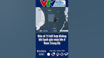 Bão số 15 kết hợp không khí lạnh gây mưa lớn ở Nam Trung Bộ | VTVWDB