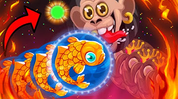 BLOB | INSANE PRE SPLIT DOUBLE SPLIT | REVERSE POP SPLIT | CRAZY POPSPLITS