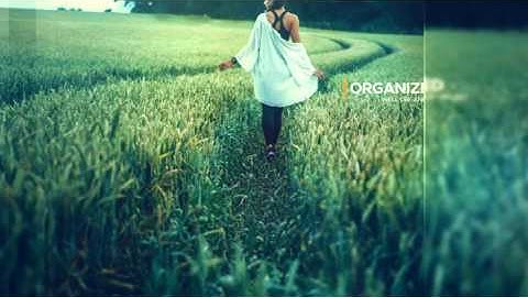 Clean Media Intro After Effects Template