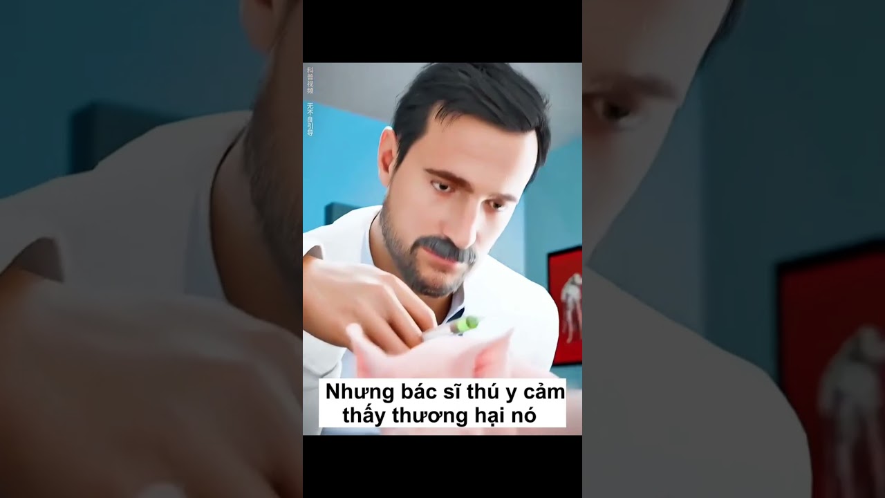 Những Con Động Vật Tội Nghiệp❤️‍🩹! #animation