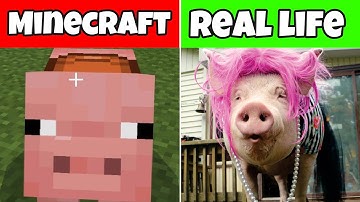 Realistic minecraft | Realistic pig | lava | Slime block