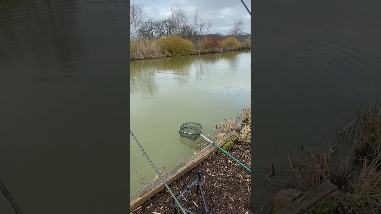 ⚠️🎣 EPIC ROD BENDING ACTION ⚠️🎣