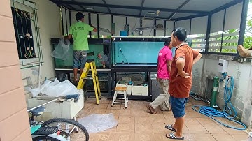 Bee Max - งานสลับที่ตู้ปลา 60 30 30 ใบเก่าแจกฟรี แทนที่ด้วย 60 24 กรองบน 2 ชั้นเชื่อมระบบ O4FS Set 1