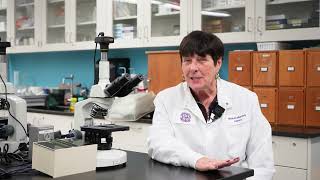 Clinical Lab Careers Start Here | Inside UB’s Medical Laboratory Science Program