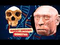 The genetic impact of ghost species on modern humans