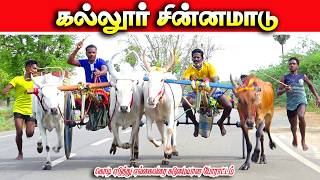 கல்லூர் சின்னமாடு 2 பந்தயம் 05.07.2026