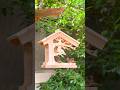 Woodworking Made EASY with Simple DIY Tips!
