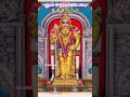 @saikrishworld6336 #bakthi #murugasaranam #hindugod #thaipoosam