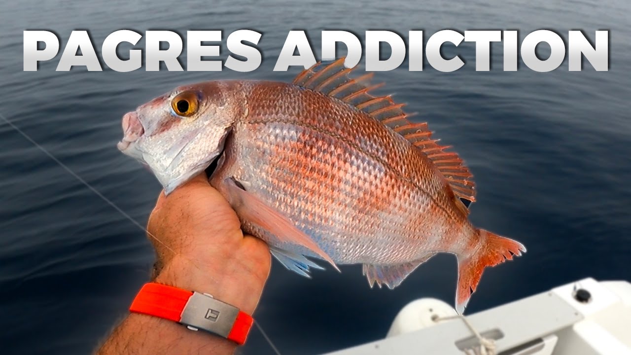 PAGRES ADDICTION part.1