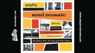 Greyboy (feat. Quantic & Sharon Jones): Got to Be a Love (Paul Nice Remix) Resimi