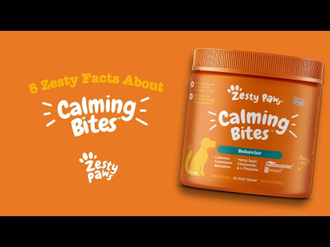 zesty paws calming bites overdose