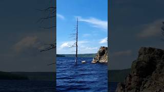 Русский Север#fishing#рыбалка#carpfishing#север#блогер#улов#тыия#дарыприроды#trout#окунь#тайна#еда