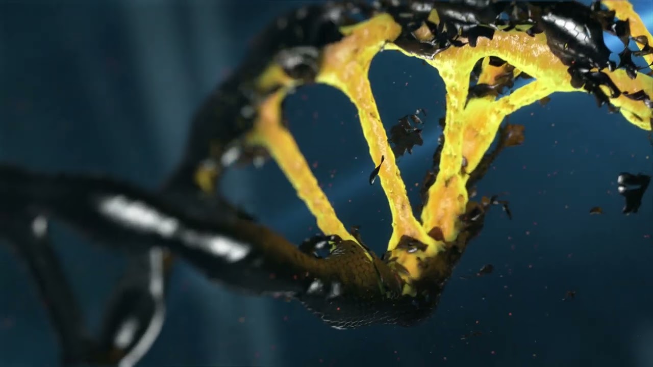 Free Stock Videos - DNA Animation
