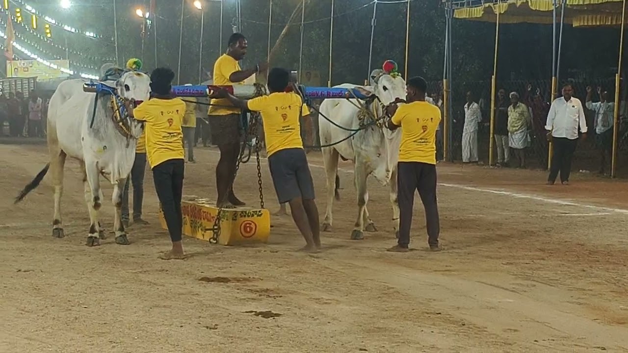 నరసరావుపేట గ్రామంలో 4పళ్ళు విభాగంలో వెంకటగిరి హేమలత నాయుడు 9🏆 బహుమతి సాధించినవి