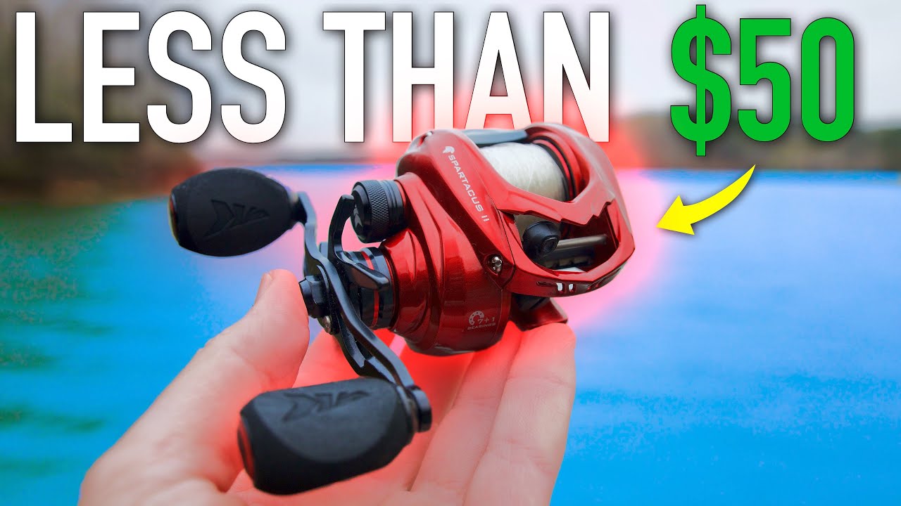 BEST BUDGET CASTING REEL?!? (KastKing Spartacus II Review) POBSE