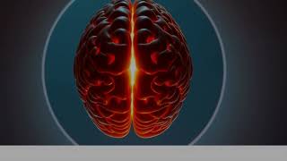 The 7-Second Window: Attention Erases Working Memory
