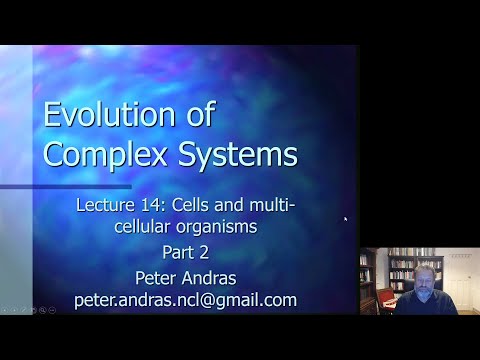 Náhľad videa: Evolution of Complex Systems - Video 29 (Lecture 14 Part 2)