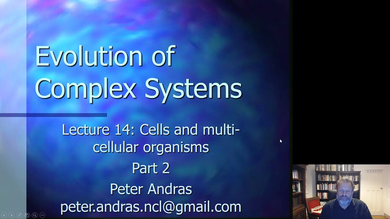 Evolution of Complex Systems - Video 29 (Lecture 14 Part 2)