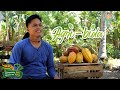 Agri-Bida : A story of Cacao Farming in Aurora