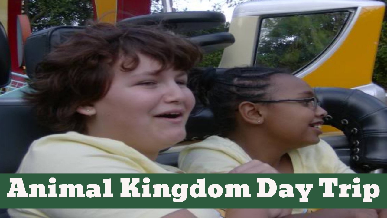 Disney's Animal Kingdom: DinoLand USA - YouTube