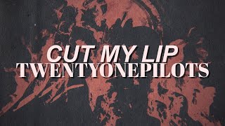 twentyonepilots - cut my lip // cover