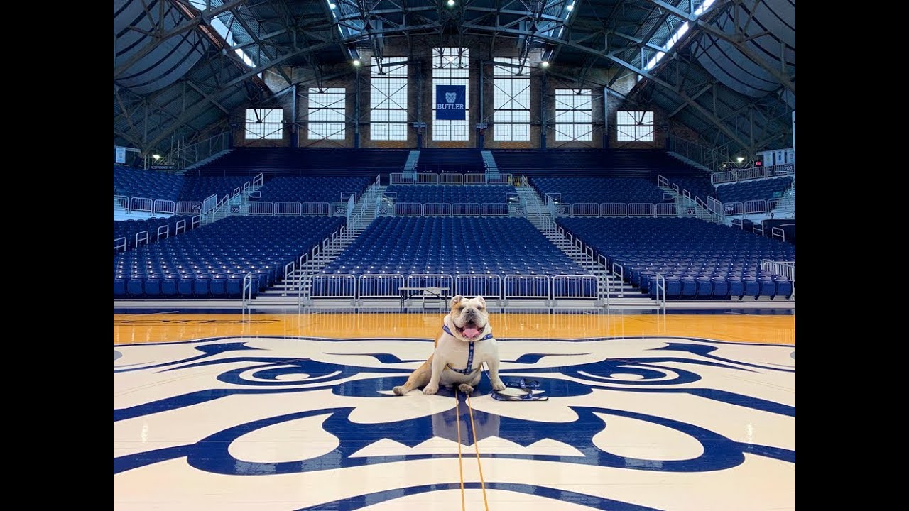 Butler Hinkle Fieldhouse Seating Chart