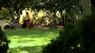 Weeds Season 7 Episode 13 Finale