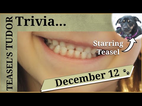 Teasel's Tudor Trivia - 12 December - Tudor teeth cleaning