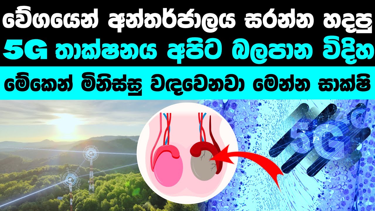 5G නිසා සිදුවන හානි මෙන්න (වඳ වෙනවාද) | Negative effects of 5G 