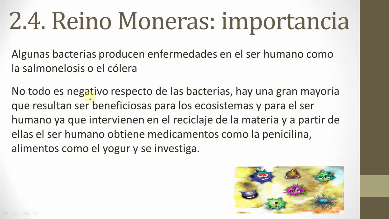 El reino monera y el reino protoctista (1º ESO)