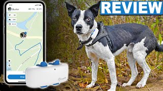 The COMPLETE Review Of The NEW Tractive GPS LTE