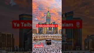 Download Lagu Ya Tayba 🖤🫀🎧 #thehalalvibes #nasheed #fypviralシ #viralshort #subscribe #channel #love #quran #makkah MP3 Download Lagu Ya Tayba 🖤🫀🎧 #thehalalvibes #nasheed #fypviralシ #viralshort #subscribe #channel #love #quran #makkah MP3