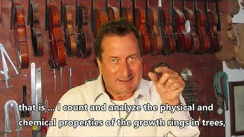 Dating ancient instruments using Tree Rings