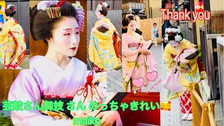 芸鼓さん舞妓 さん めっちゃきれいmaiko #舞妓  #maiko #kyoto Kyoto Gion japan 4k