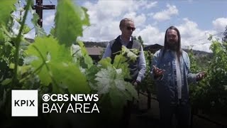 De-alcoholizing Napa Valley wine