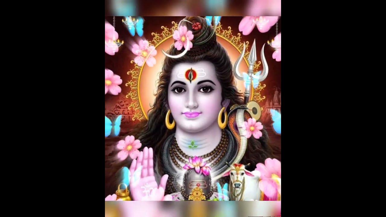 Hari Om Namah Shivaya status video Hari Om Namah Shivaya status video