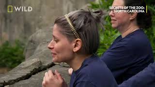 Secrets of the Zoo: North Carolina