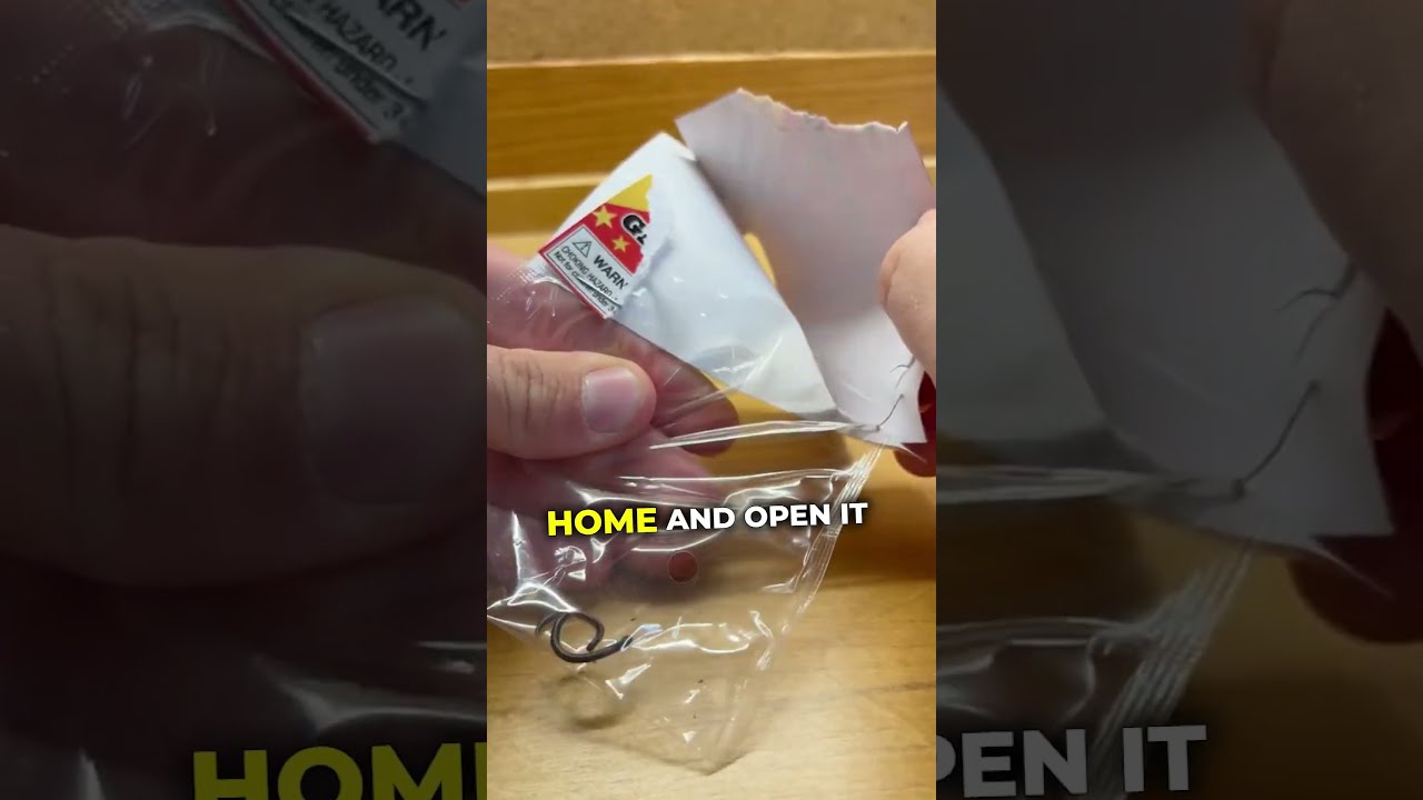 This Bug Toy Is Incredible 