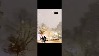 Erzurum’a Kar Yağıyor: Resimi