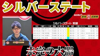 【シルバーステート】 未完の大器、潜在能力を産駒にどの程度伝えるのか!?