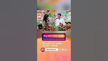 VẢI THIỀU LỤC NGẠN "ĐỔ BỘ" TP HCM