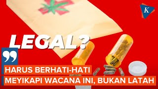 Anggota Komisi IX DPR Bahas soal Legalisasi Ganja Medis