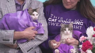 Sponsored Content: Shelter Spotlight: Gemma & Otto