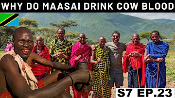 LIFE OF ANCIENT MAASAI TRIBE LIVING WITH THE WILD ANIMALS 🇹🇿 S7 EP.23 | Pakistan to South Africa