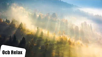 Donald | 12 Hours of Relaxing Piano Music for Sleep | Fall Asleep Fast