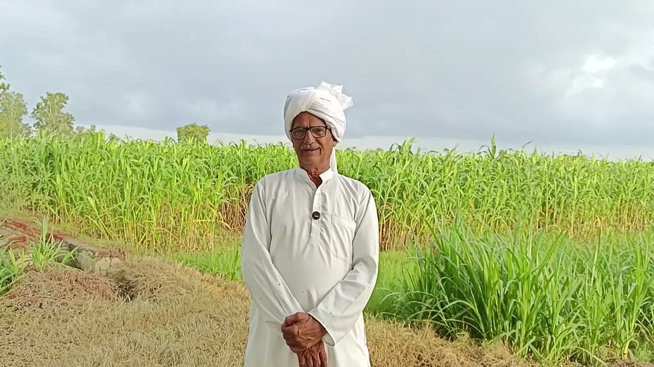 मै पूरी जिंदगी अपने बाप के घर बिता लूँगी दूसरी शादी नहीं करूँगी क्या पता दूसरा इससे भी निकम्मा मिल 