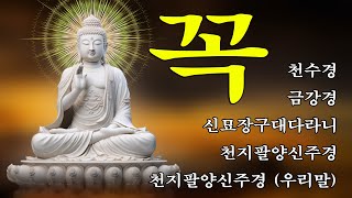 매일 들어라: 소원이 실현되는 건강 과 돈 행운 🙏🌻🌾 천수경, 금강경, 신묘장구대다라니, 천지팔양신주경, 천지팔양신주경 (우리말)