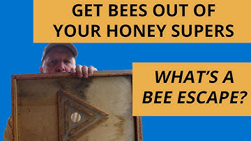 What Is A Bee Escape Board