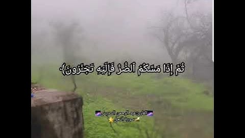 وما بكم من نعمة فمن الله.... سورة النحل