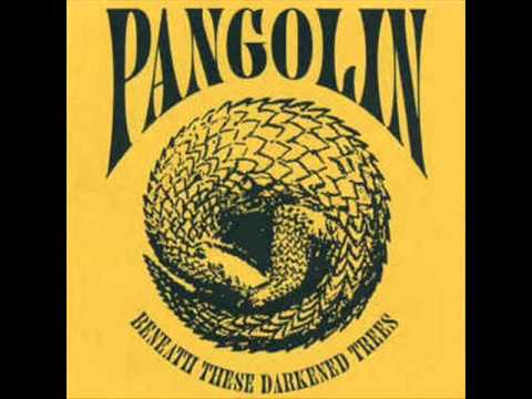 Pangolin - Permanent Green Light (The Godz cover)